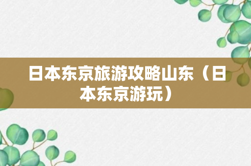 日本东京旅游攻略山东（日本东京游玩）