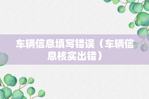 车辆信息填写错误（车辆信息核实出错）