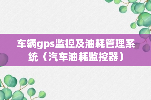 车辆gps监控及油耗管理系统（汽车油耗监控器）