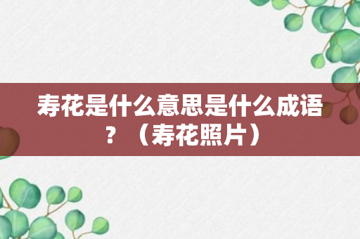 寿花是什么意思是什么成语？（寿花照片）