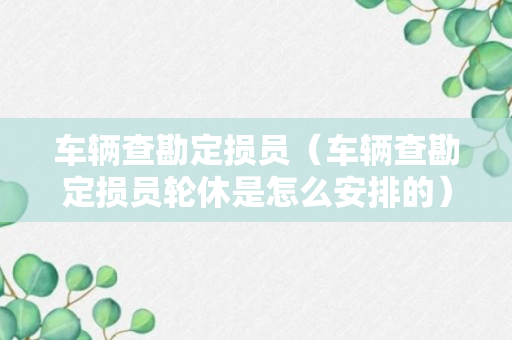 车辆查勘定损员（车辆查勘定损员轮休是怎么安排的）