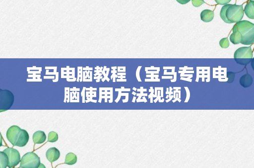 宝马电脑教程（宝马专用电脑使用方法视频）