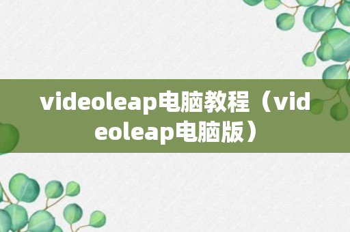 videoleap电脑教程（videoleap电脑版）