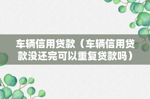 车辆信用贷款（车辆信用贷款没还完可以重复贷款吗）