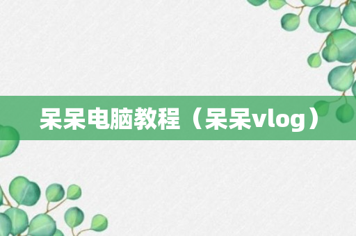 呆呆电脑教程（呆呆vlog）