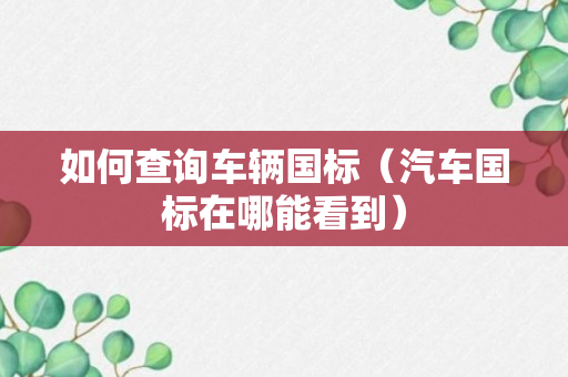 如何查询车辆国标（汽车国标在哪能看到）