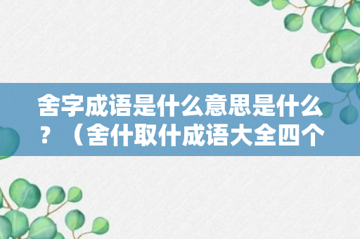 舍字成语是什么意思是什么？（舍什取什成语大全四个字）