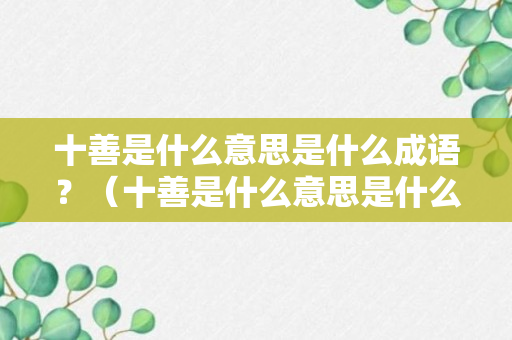 十善是什么意思是什么成语？（十善是什么意思是什么成语啊）