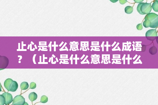 止心是什么意思是什么成语？（止心是什么意思是什么成语大全）