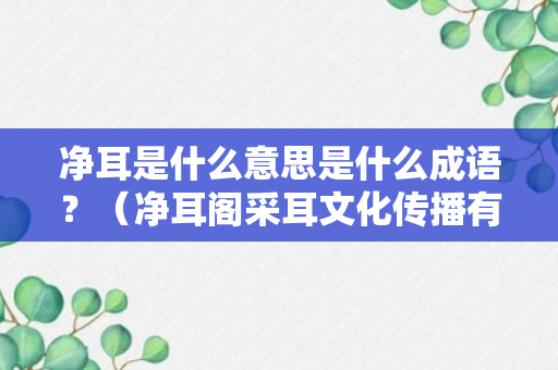 净耳是什么意思是什么成语？（净耳阁采耳文化传播有限公司）