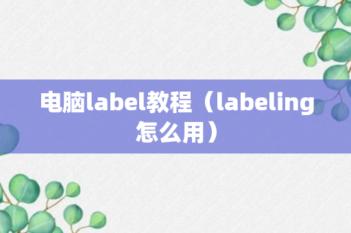 电脑label教程（labeling怎么用）