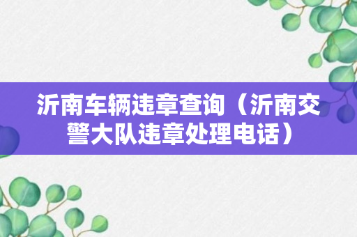 沂南车辆违章查询（沂南交警大队违章处理电话）