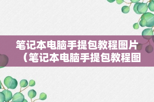 笔记本电脑手提包教程图片（笔记本电脑手提包教程图片）