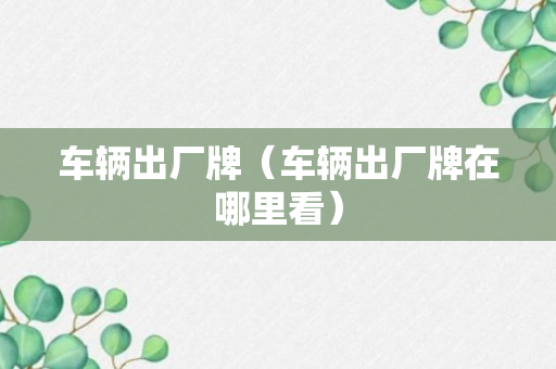 车辆出厂牌（车辆出厂牌在哪里看）