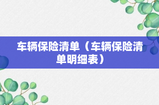 车辆保险清单（车辆保险清单明细表）