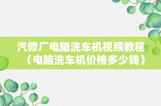 汽修厂电脑洗车机视频教程（电脑洗车机价格多少钱）