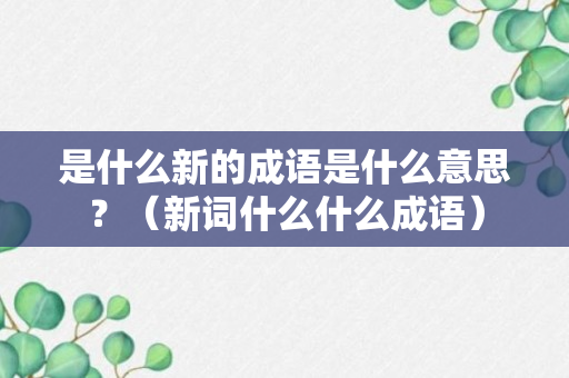 是什么新的成语是什么意思？（新词什么什么成语）