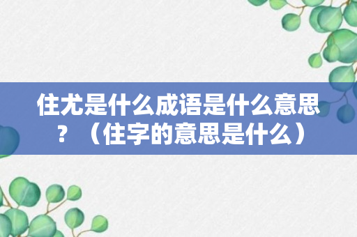 住尤是什么成语是什么意思？（住字的意思是什么）