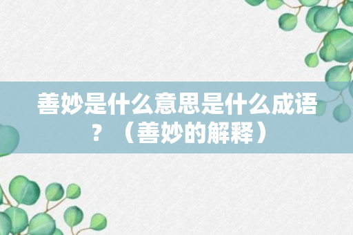 善妙是什么意思是什么成语？（善妙的解释）