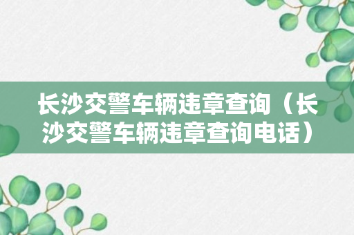 长沙交警车辆违章查询（长沙交警车辆违章查询电话）