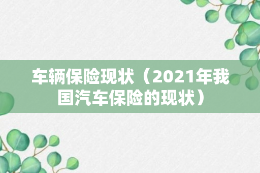 车辆保险现状（2021年我国汽车保险的现状）