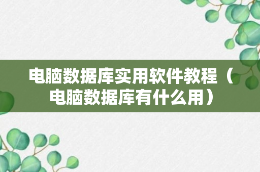 电脑数据库实用软件教程（电脑数据库有什么用）