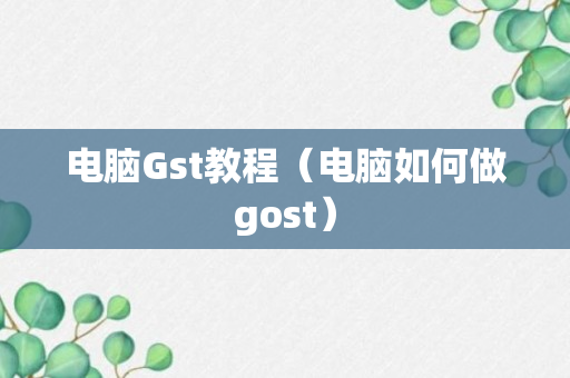 电脑Gst教程（电脑如何做gost）