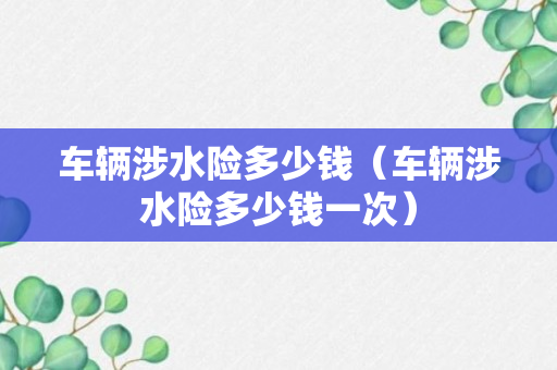 车辆涉水险多少钱（车辆涉水险多少钱一次）