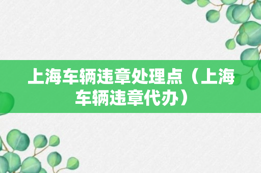 上海车辆违章处理点（上海车辆违章代办）