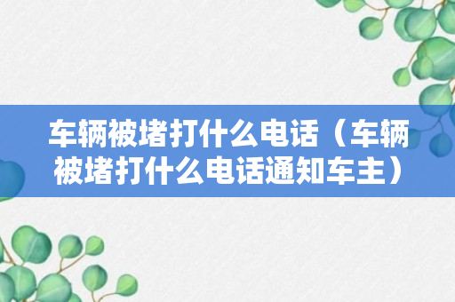 车辆被堵打什么电话（车辆被堵打什么电话通知车主）