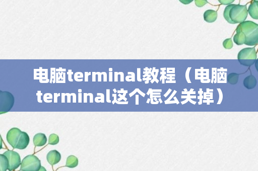 电脑terminal教程（电脑terminal这个怎么关掉）