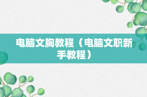 电脑文胸教程（电脑文职新手教程）