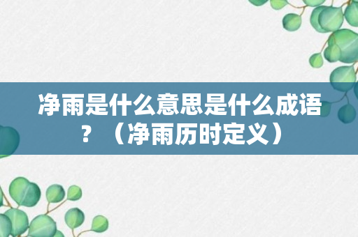 净雨是什么意思是什么成语？（净雨历时定义）