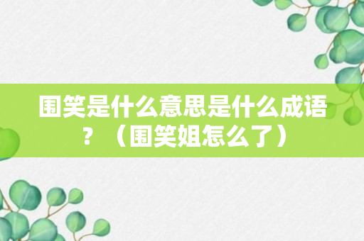 围笑是什么意思是什么成语？（围笑姐怎么了）