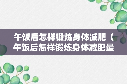 午饭后怎样锻炼身体减肥（午饭后怎样锻炼身体减肥最快）