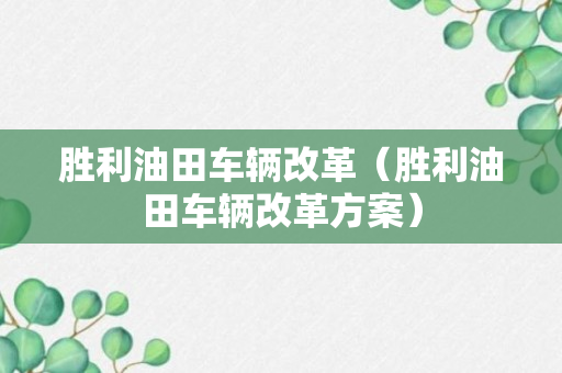 胜利油田车辆改革（胜利油田车辆改革方案）