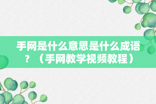 手网是什么意思是什么成语？（手网教学视频教程）