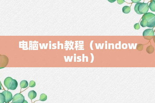 电脑wish教程（window wish）