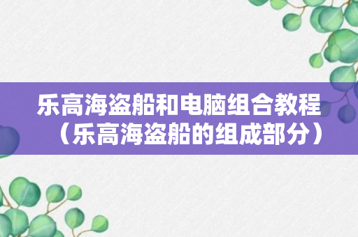 乐高海盗船和电脑组合教程（乐高海盗船的组成部分）