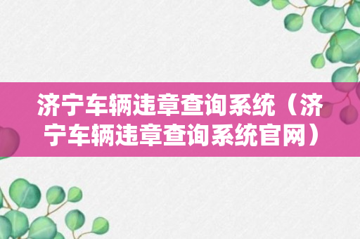 济宁车辆违章查询系统（济宁车辆违章查询系统官网）