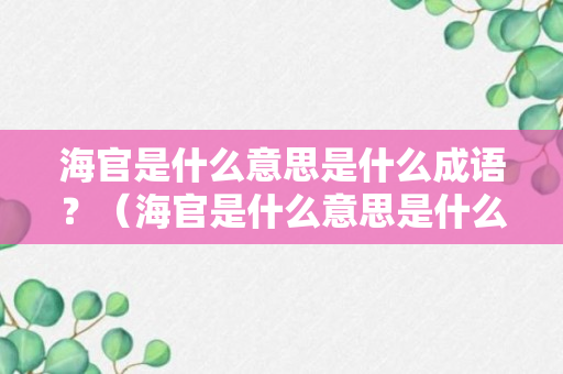 海官是什么意思是什么成语？（海官是什么意思是什么成语啊）