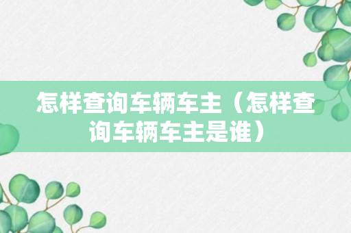 怎样查询车辆车主（怎样查询车辆车主是谁）