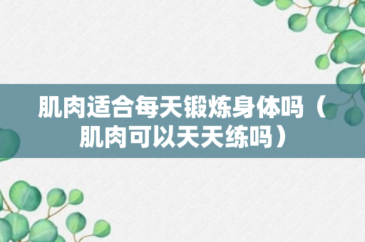 肌肉适合每天锻炼身体吗（肌肉可以天天练吗）