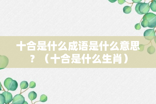 十合是什么成语是什么意思？（十合是什么生肖）