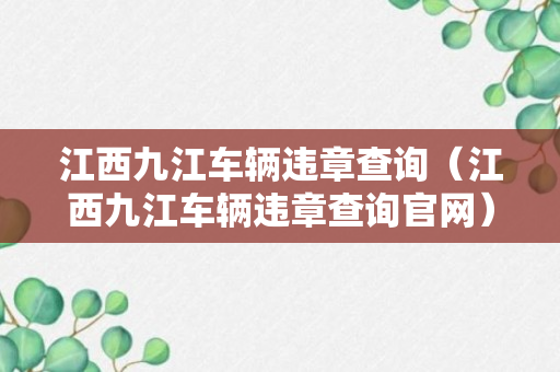 江西九江车辆违章查询（江西九江车辆违章查询官网）