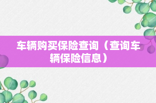 车辆购买保险查询（查询车辆保险信息）