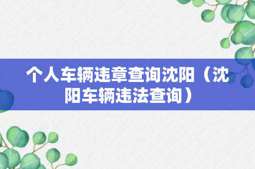 个人车辆违章查询沈阳（沈阳车辆违法查询）