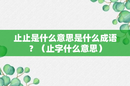 止止是什么意思是什么成语？（止字什么意思）