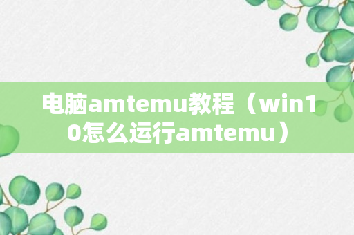 电脑amtemu教程（win10怎么运行amtemu）