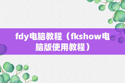 fdy电脑教程（fkshow电脑版使用教程）